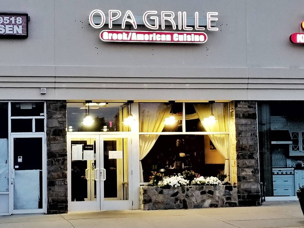 Opa Grille | restaurant | 432 Hillside Avenue, Williston Park, NY 11596, USA | 5163079966 OR +1 516-307-9966