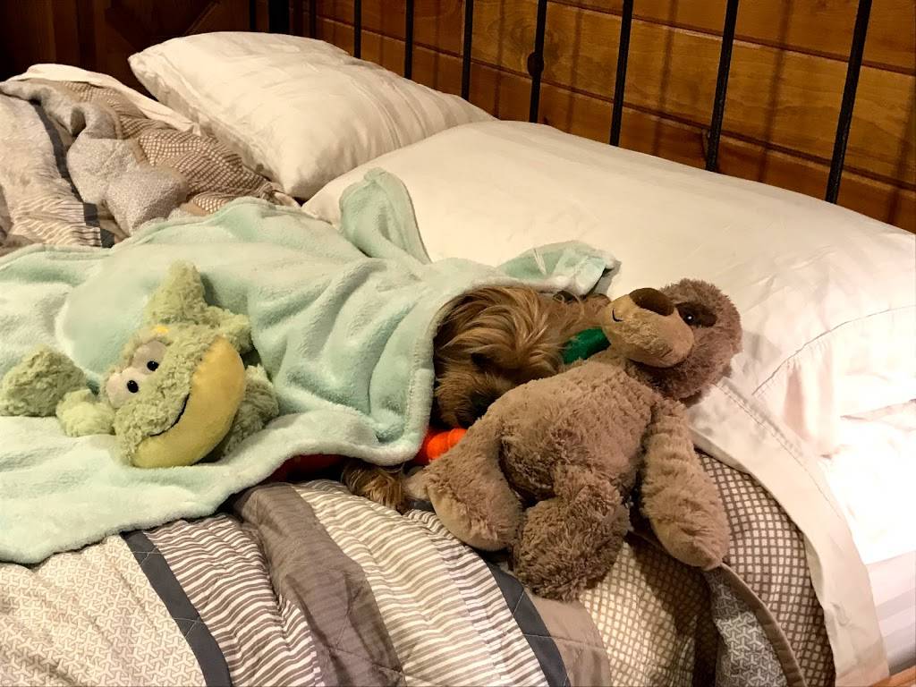 Wendys | restaurant | 531 E Nelson St, Lexington, VA 24450, USA | 5404635005 OR +1 540-463-5005