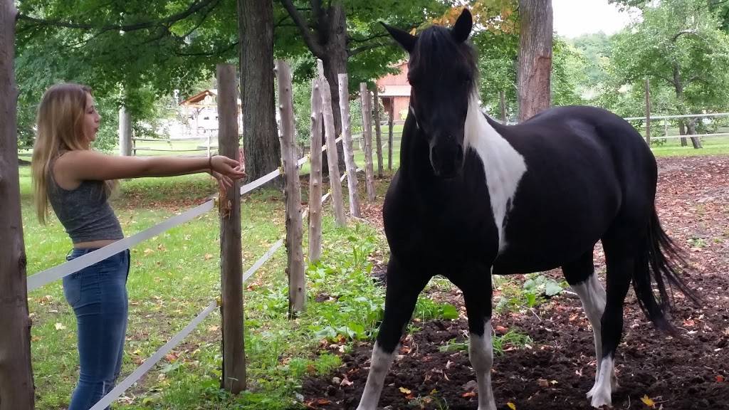 Vergers Cassidy | restaurant | ,JOS-1EO, 2910 QC-202, Franklin, QC J0S 1E0, Canada | 4508272000 OR +1 450-827-2000