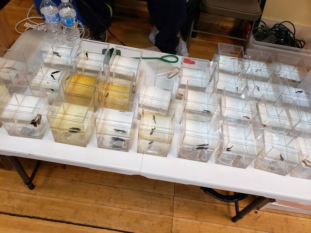 Pakeng Palace | restaurant | 3730 W National Ave, Milwaukee, WI 53215, USA | 4143831902 OR +1 414-383-1902