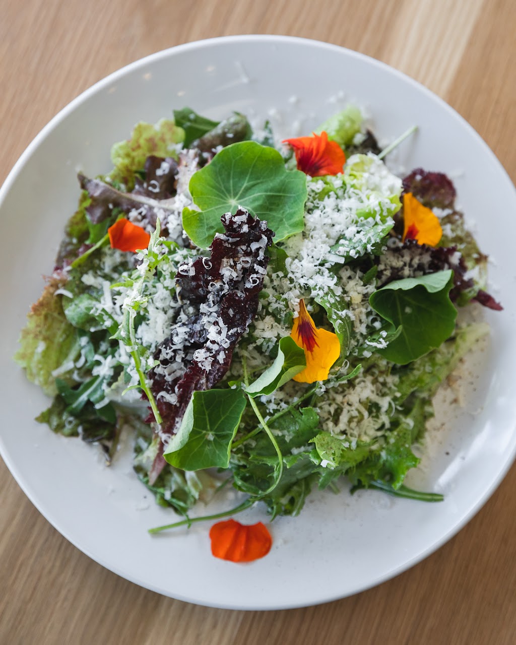 Osteria La Buca - Sherman Oaks | restaurant | 14235 Ventura Blvd, Sherman Oaks, CA 91423, USA | 8184561216 OR +1 818-456-1216