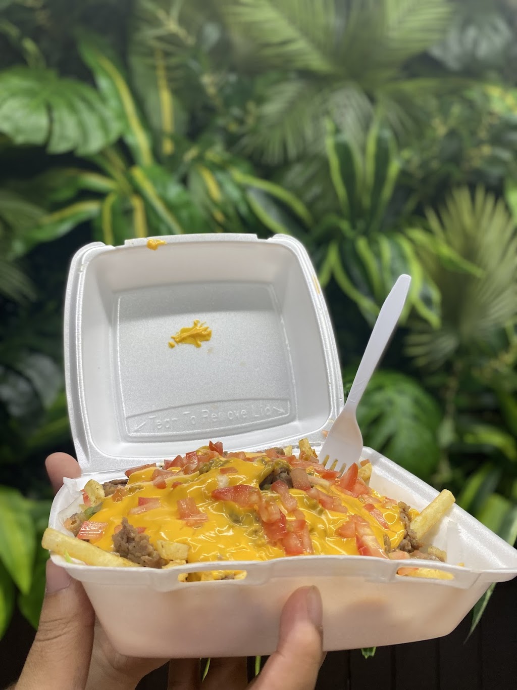 Mooka Grill | restaurant | 5836 Martin Luther King Blvd, Houston, TX 77021, USA | 8325381660 OR +1 832-538-1660