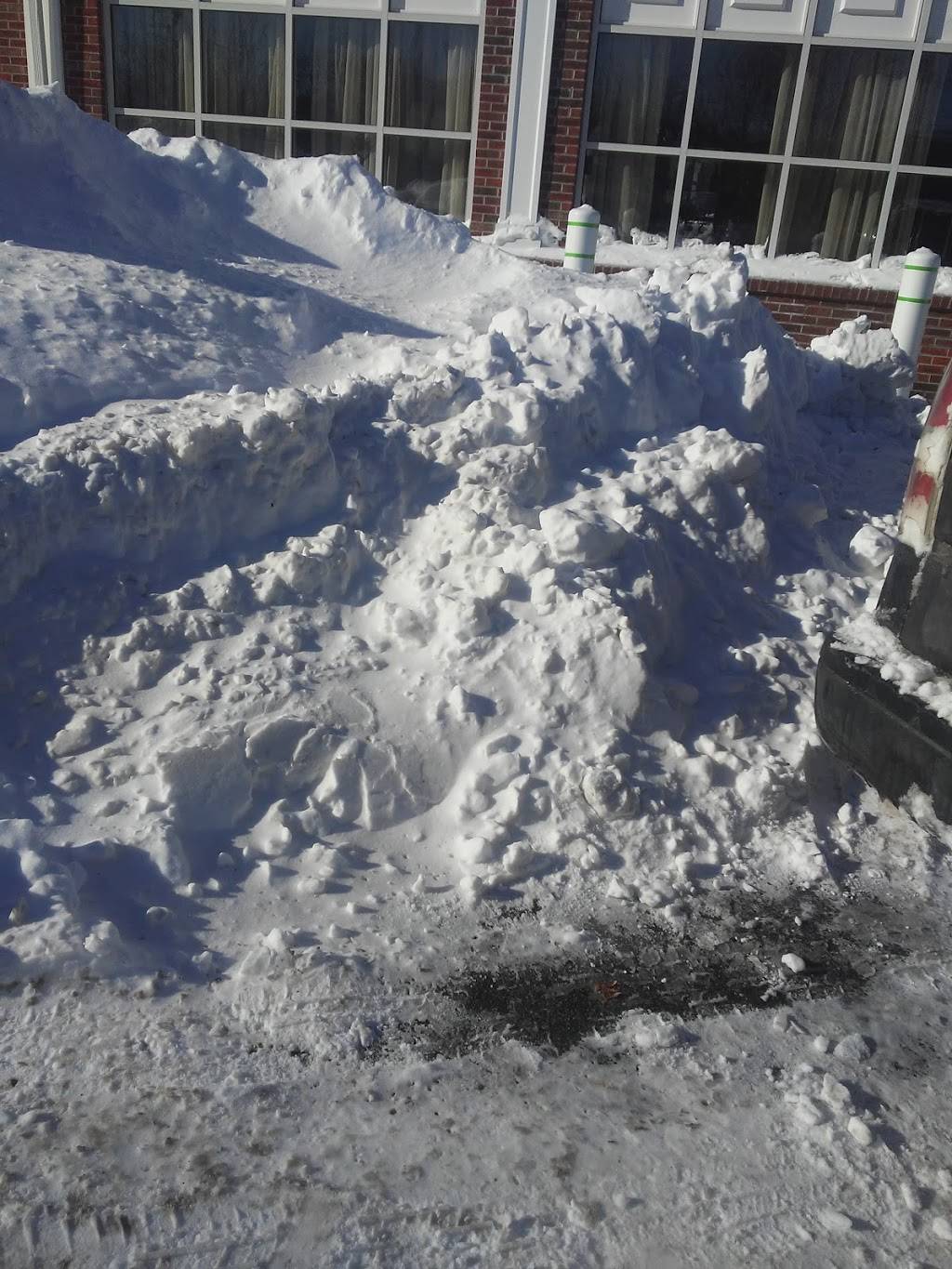 King Garden | restaurant | 220 Winter St, Bridgewater, MA 02324, USA | 5082799988 OR +1 508-279-9988