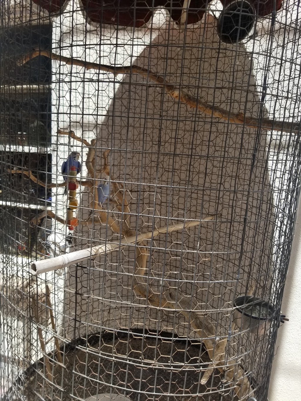 The Garden Cafe | cafe | 250 S Madison Ave, Yuma, AZ 85364, USA | 9287831491 OR +1 928-783-1491