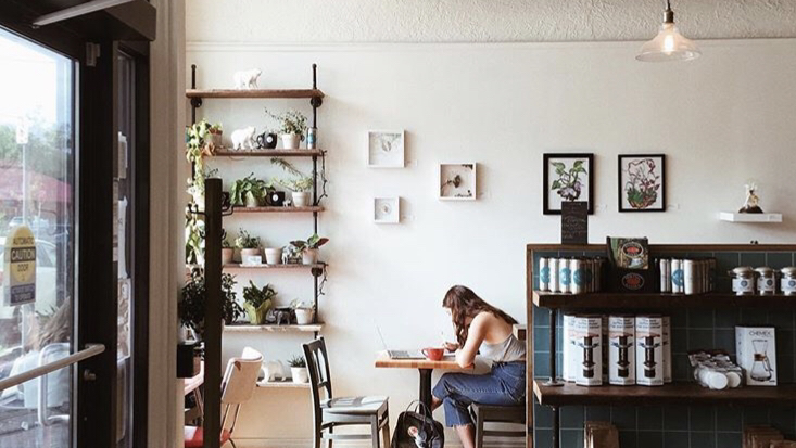 Paisley Coffeehouse & Eatery | cafe | 1020 King St W, Hamilton, ON L8S 1L4, Canada | 9057778100 OR +1 905-777-8100