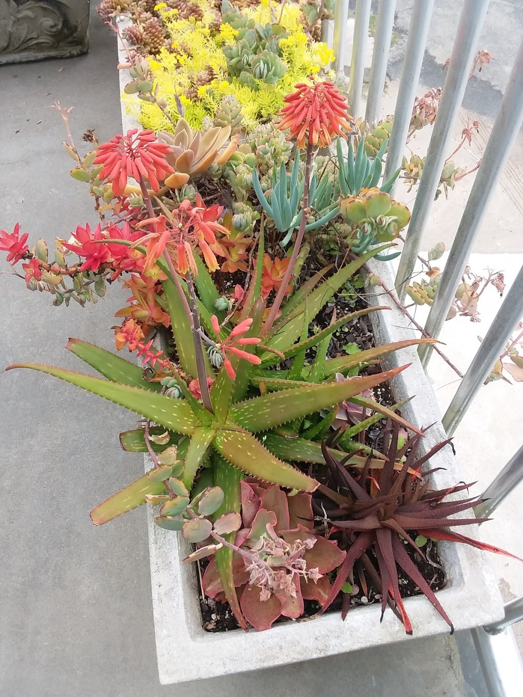 Wildcat Den | restaurant | 25673 FL-71, Altha, FL 32421, USA | 8507628495 OR +1 850-762-8495