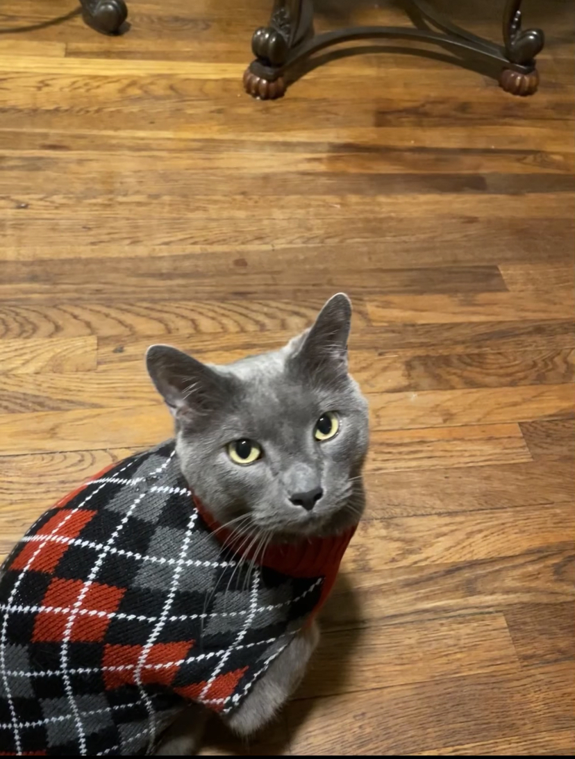 Cora LiLee & Co | restaurant | 1116 Potter Ave, Bessemer, AL 35020, USA | 2055665455 OR +1 205-566-5455