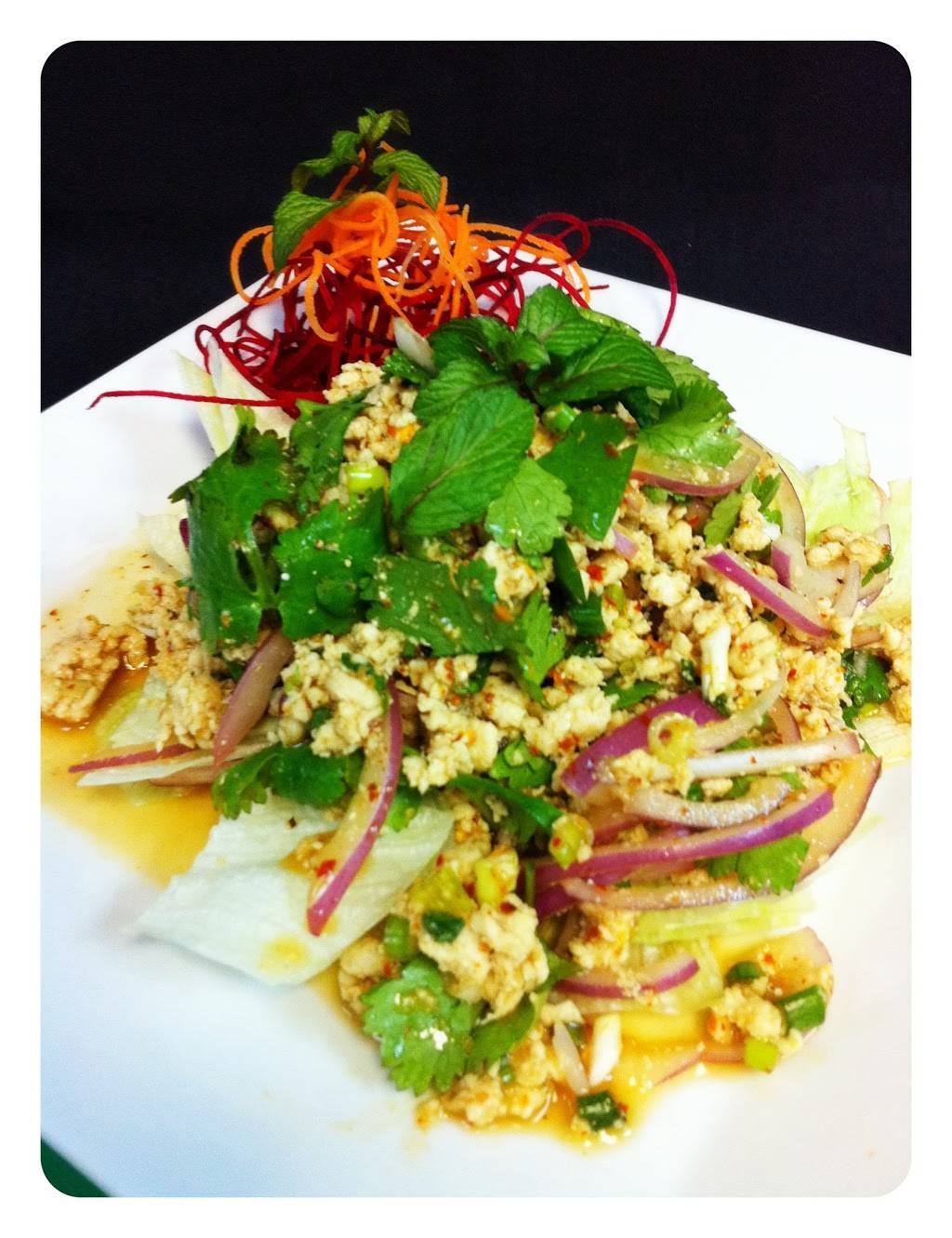 My Thai Restaurant | restaurant | 193 Thomas Johnson Dr, Frederick, MD 21702, USA | 3018469999 OR +1 301-846-9999