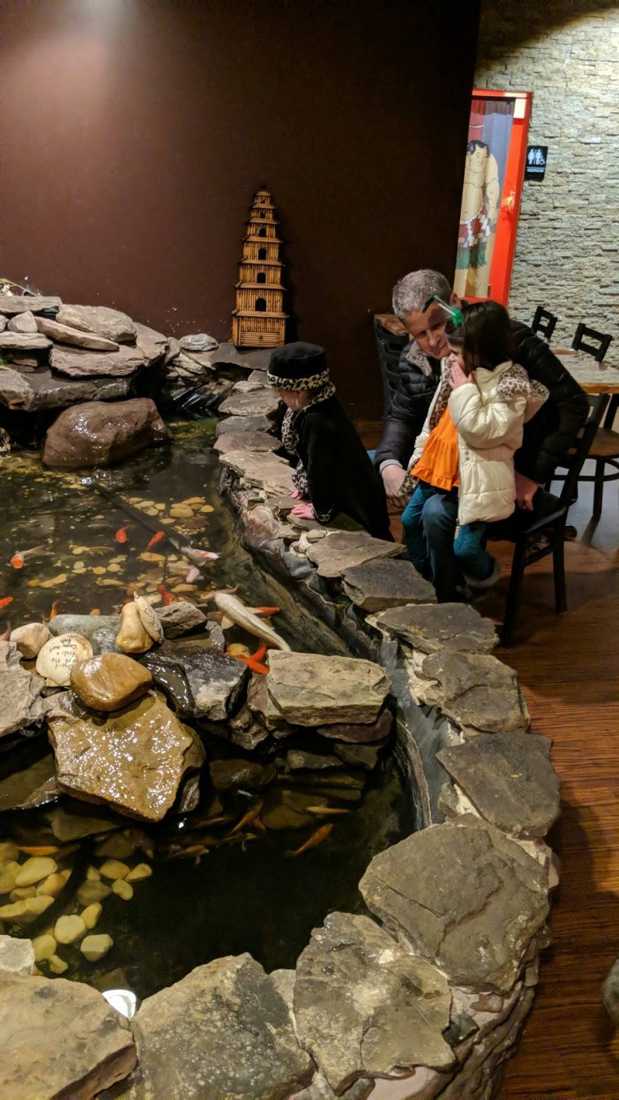 Megu Sushi & Hibachi | restaurant | 1990 Marlton Pike East #18, Cherry Hill, NJ 08003, USA | 8564896228 OR +1 856-489-6228