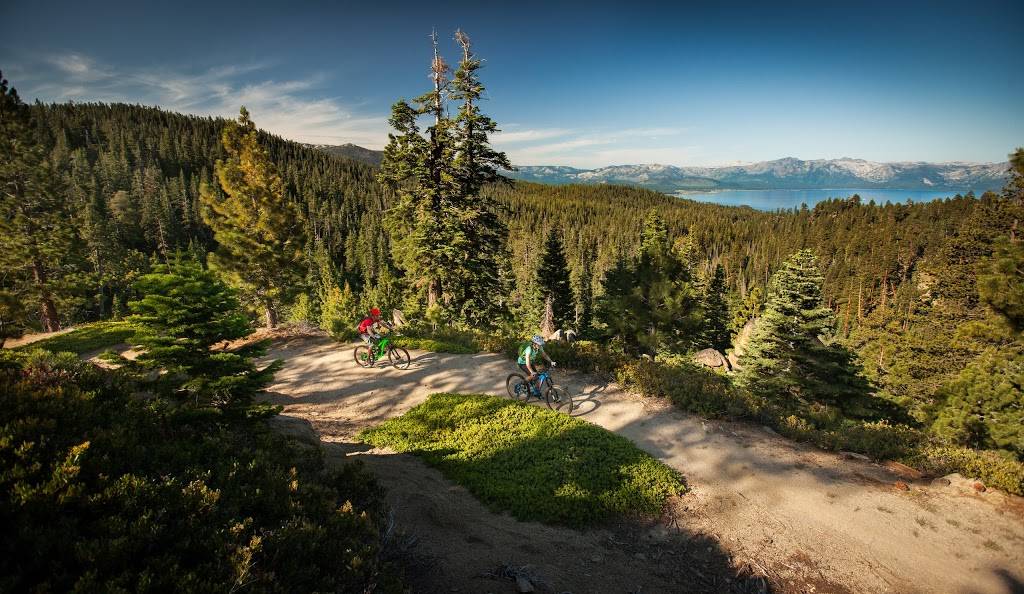 Over The Edge: Coffee Bikes Beer | cafe | 3665 Tamarack Ave, South Lake Tahoe, CA 96150, USA | 5306003633 OR +1 530-600-3633