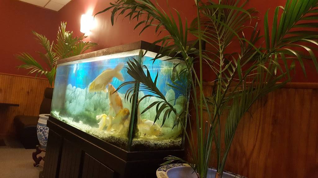 Peking | restaurant | 5034, 734 Rte 37 W, Toms River, NJ 08755, USA | 7323414242 OR +1 732-341-4242