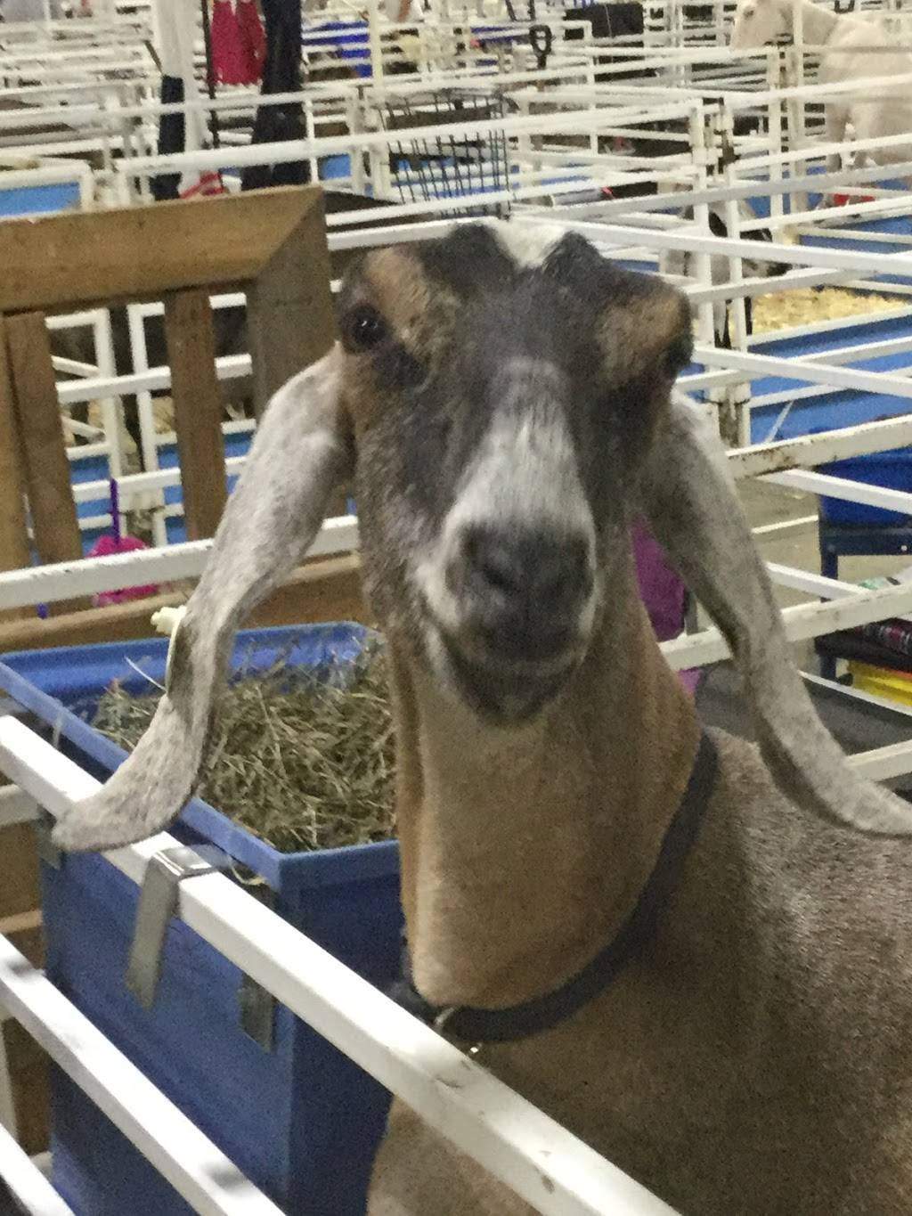 Brookside Plaza | shopping mall | 10 Hazard Ave, Enfield, CT 06082, USA | 2036355560 OR +1 203-635-5560