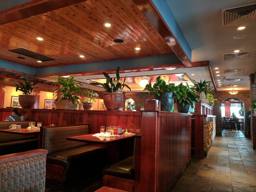 Cheddars Scratch Kitchen | restaurant | 50 Old Pleasant Grove Rd, Mt. Juliet, TN 37122, USA | 6157734002 OR +1 615-773-4002