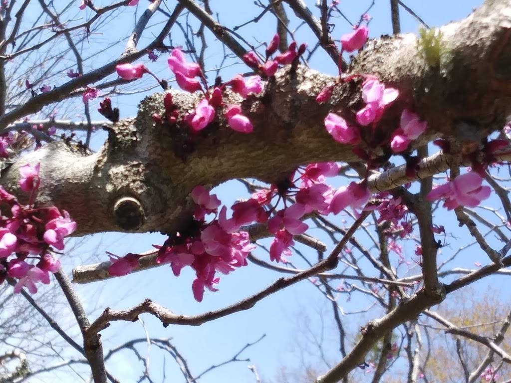 Bulldog Bait and Tackle | meal takeaway | 1300 Victory Dr, Columbus, GA 31901, USA | 7062570061 OR +1 706-257-0061