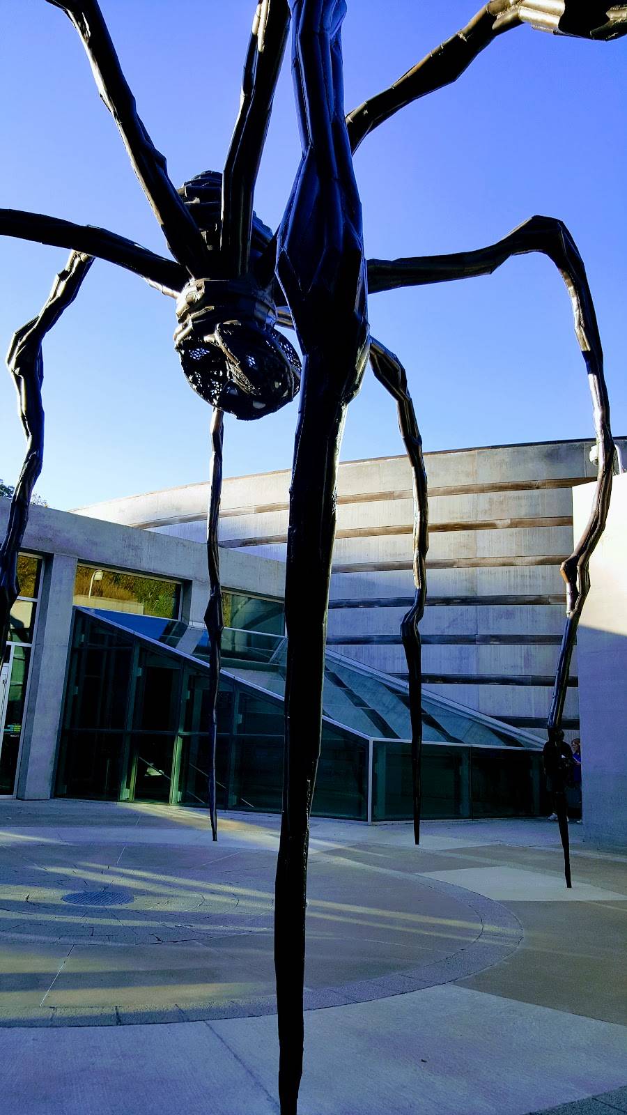 Crystal Bridges Museum of American Art | restaurant | 600 Museum Way, Bentonville, AR 72712, USA | 4794185700 OR +1 479-418-5700