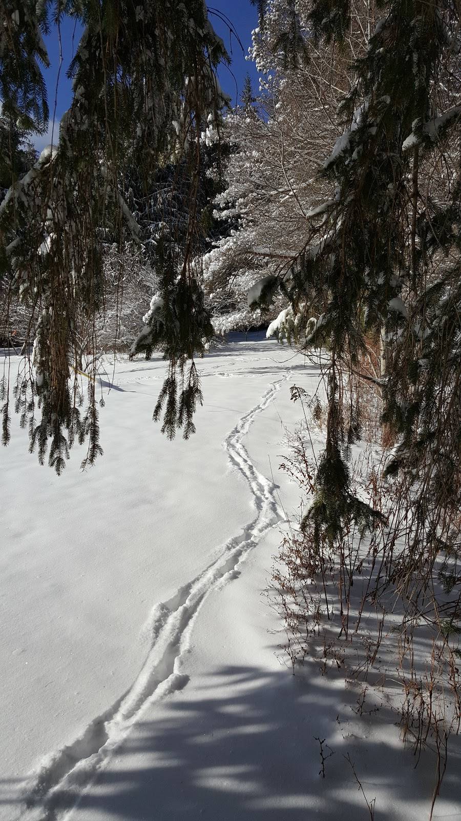 Birdsall Inn | restaurant | 9011 Co Rd 16, Angelica, NY 14709, USA | 5854663121 OR +1 585-466-3121