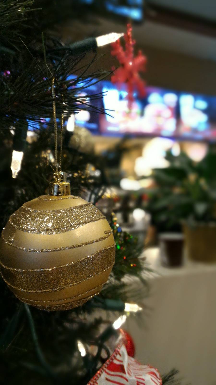 McDonalds | cafe | 631 Niagara St, Welland, ON L3C 1L9, Canada | 9057351064 OR +1 905-735-1064