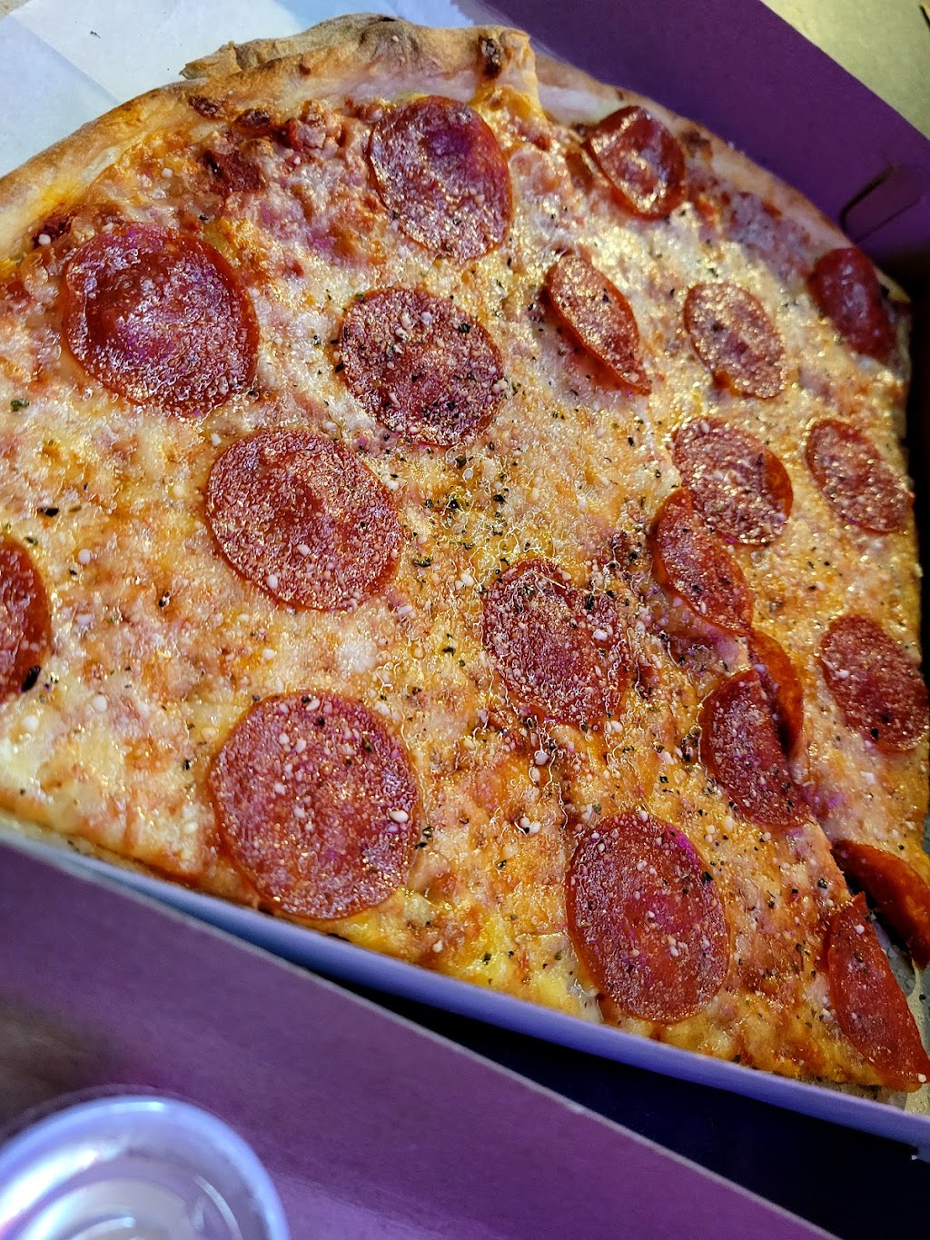 Bayview Pizza & Grill | meal delivery | 2720 E Oakland Park Blvd, Fort Lauderdale, FL 33306, USA | 7542006304 OR +1 754-200-6304