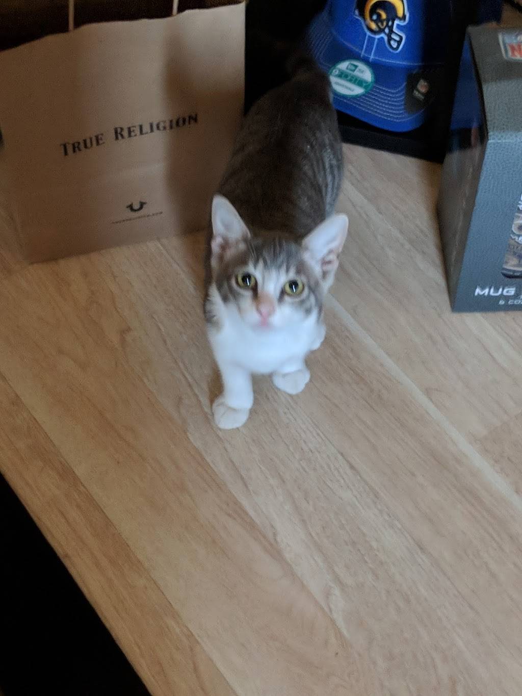 Juanitas Tortilleria | restaurant | 2321 E El Segundo Blvd, Compton, CA 90222, USA | 3106357600 OR +1 310-635-7600