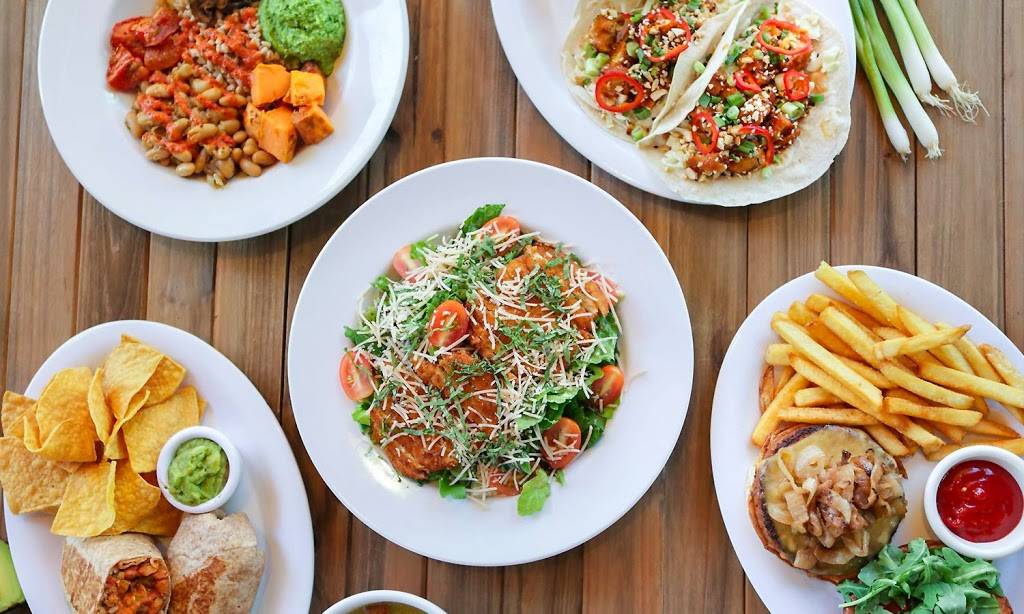 Veggie Grill | restaurant | 4300 Riverside Dr, Burbank, CA 91505, USA | 8185884338 OR +1 818-588-4338