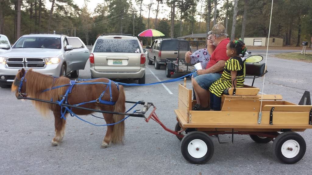 Smokey Hollow Restaurant | restaurant | 12367 Co Rd 42, Jemison, AL 35085, USA | 2056882532 OR +1 205-688-2532