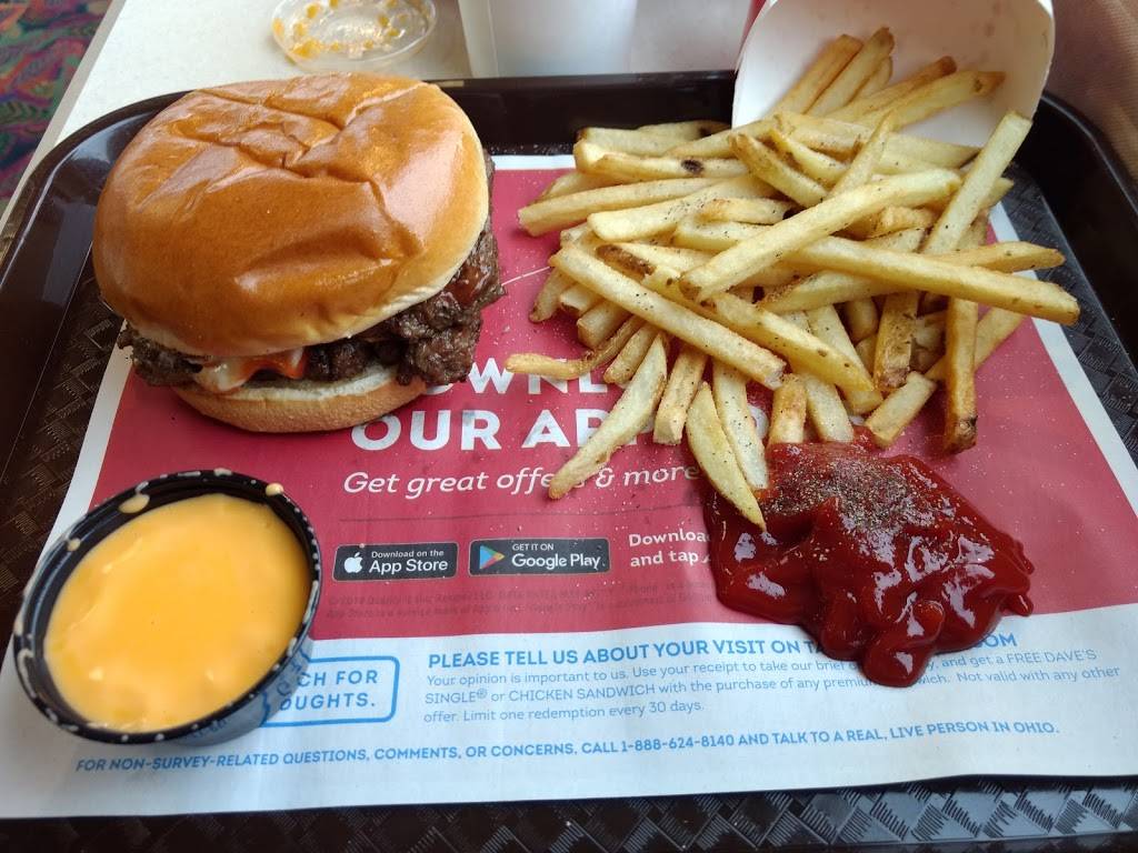 Wendys | restaurant | 250 N River Ave, Holland, MI 49424, USA | 6169280071 OR +1 616-928-0071