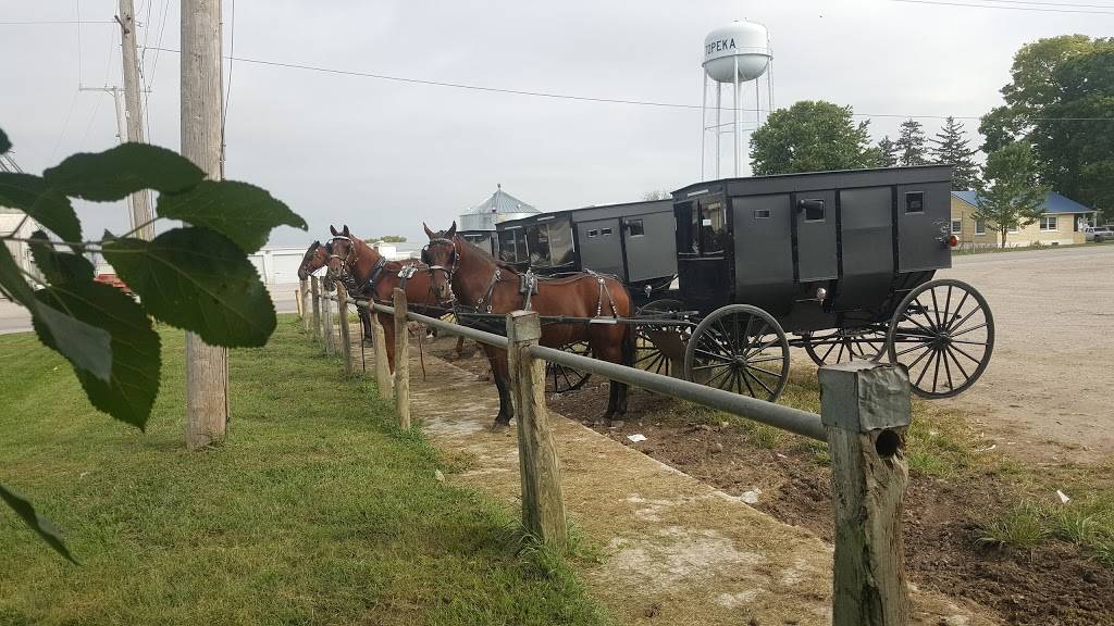 El Zorrito Mexican Restaurant | restaurant | 110 Redman Dr, Topeka, IN 46571, USA | 2605930173 OR +1 260-593-0173