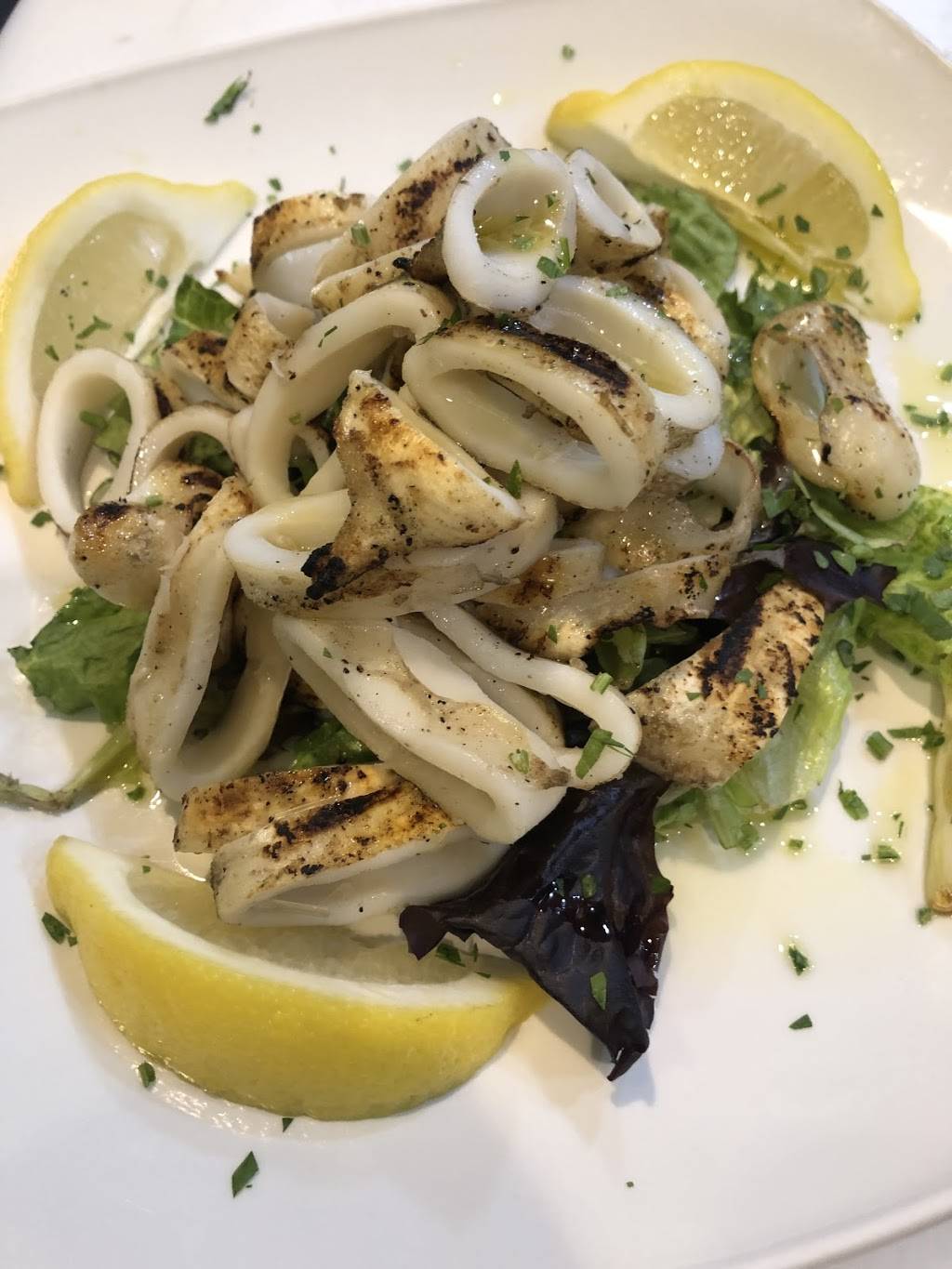 OLIVE TREE BISTRO | restaurant | 231 W Lancaster Ave, Paoli, PA 19301, USA | 6109939393 OR +1 610-993-9393