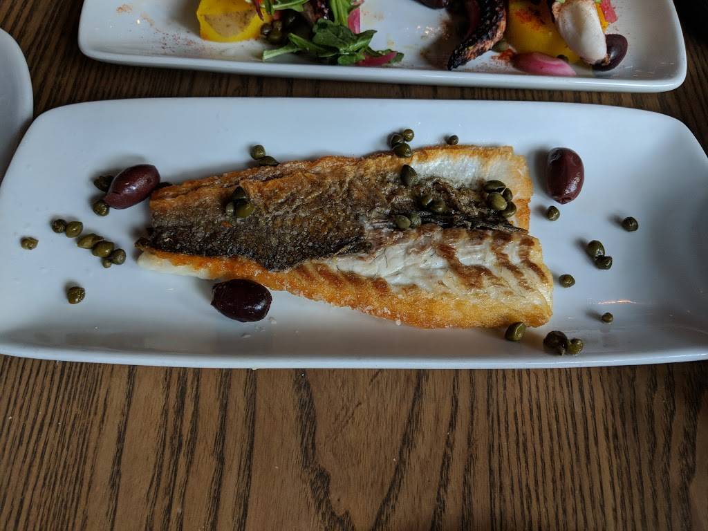 Ceviche Tapas Orlando | restaurant | 125 W Church St, Orlando, FL 32801, USA | 3212818140 OR +1 321-281-8140