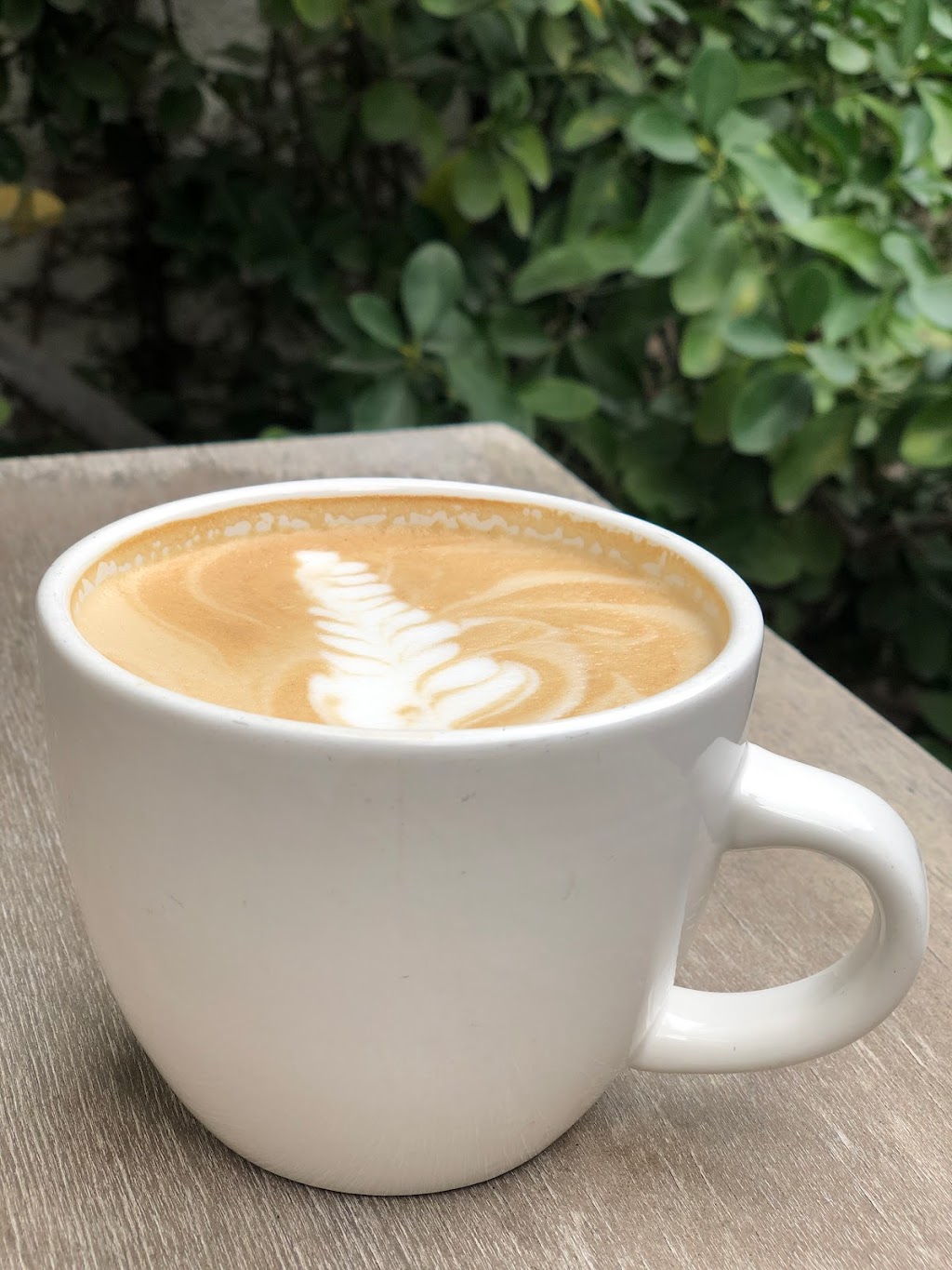 Cafe Passe | cafe | 415 N 4th Ave, Tucson, AZ 85705, USA | 5206244411 OR +1 520-624-4411