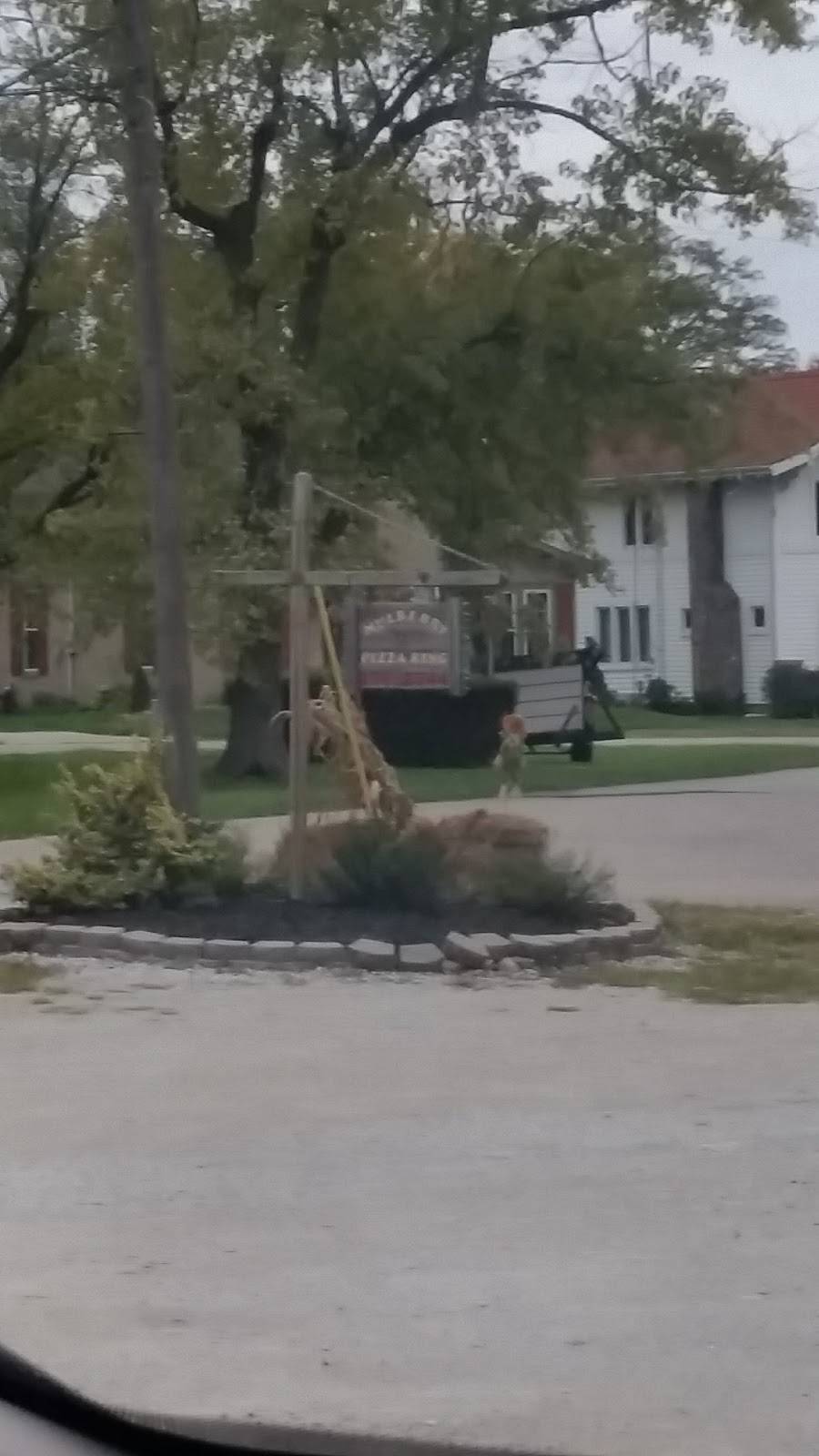 Pizza King of Mulberry | restaurant | 137 S Glick St, Mulberry, IN 46058, USA | 7652962344 OR +1 765-296-2344