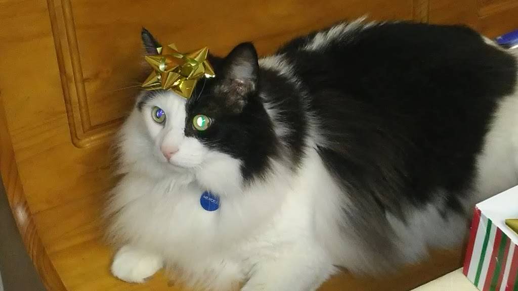 Ferrareses | restaurant | 1161 E F St, Oakdale, CA 95361, USA | 2098472079 OR +1 209-847-2079