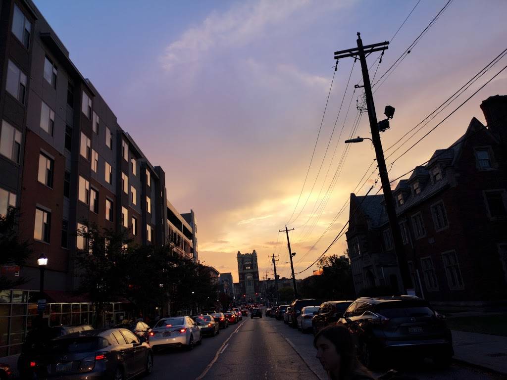 Krishna Indian Restaurant and Carry Out | restaurant | 313 Calhoun St, Cincinnati, OH 45219, USA | 5139612878 OR +1 513-961-2878