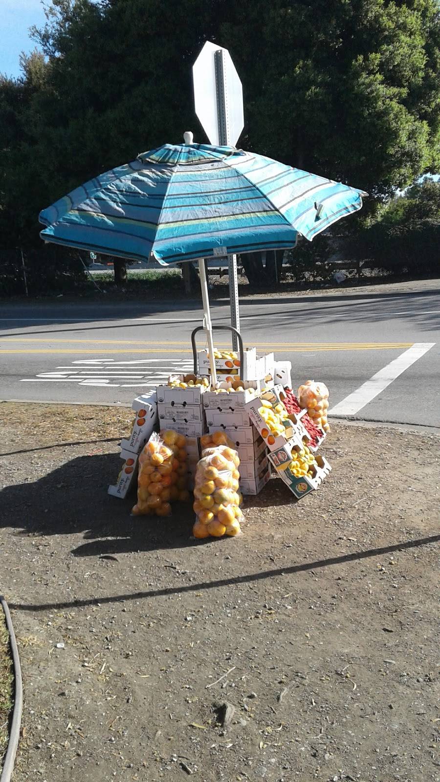 Taqueria Los Temos | restaurant | 1491 E Bayshore Rd, East Palo Alto, CA 94303, USA | 6503272216 OR +1 650-327-2216