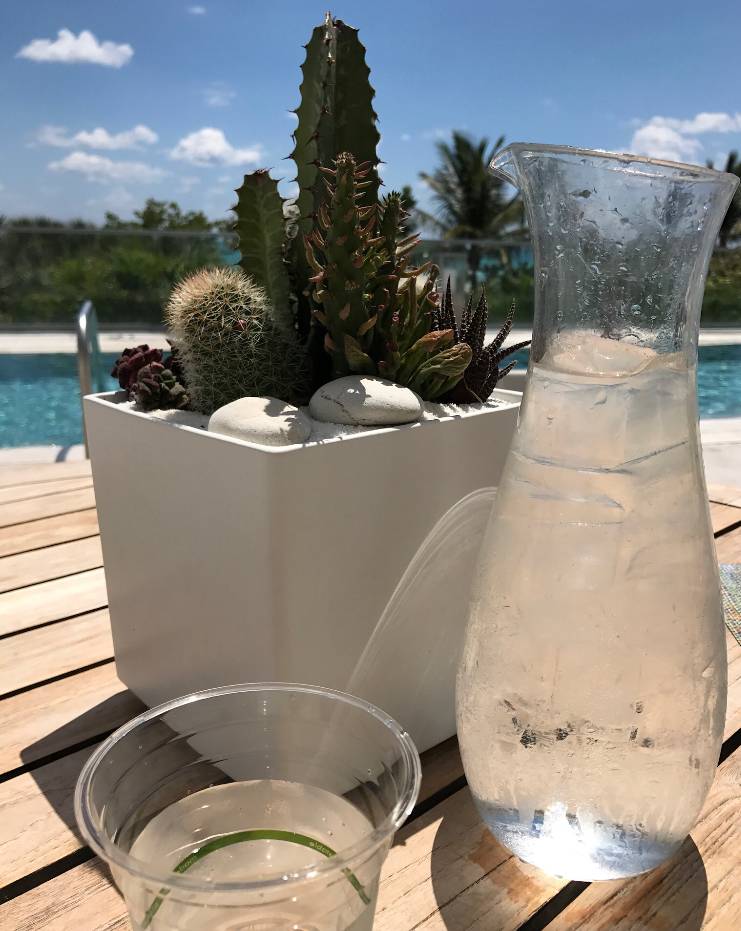 The Sandbox | restaurant | 2341 Collins Ave, Miami Beach, FL 33139, USA | 3056041000 OR +1 305-604-1000