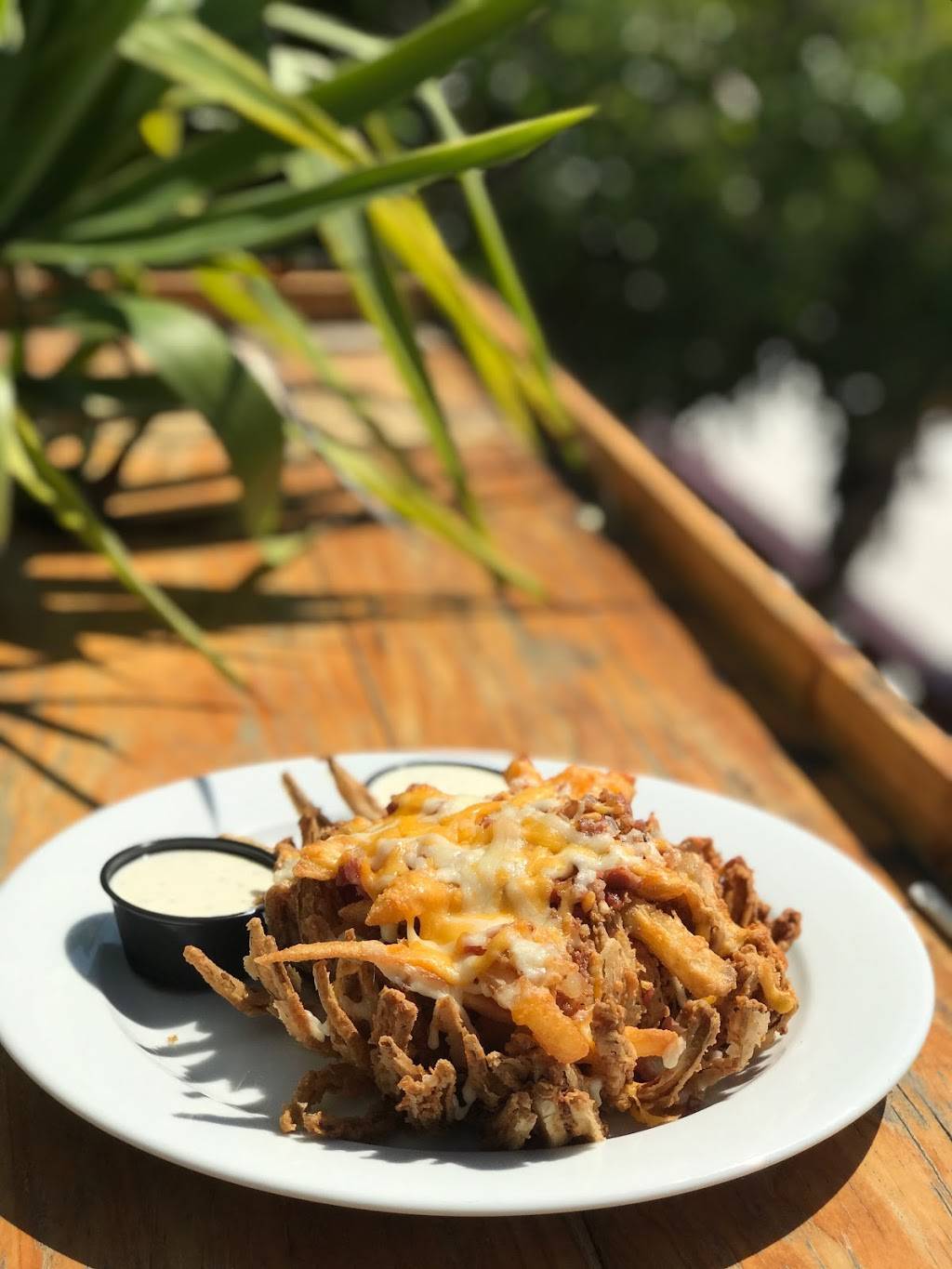 Sabal Palm Patio Bar & Grill | restaurant | 1400 Estero Blvd, Fort Myers Beach, FL 33931, USA | 2394633111 OR +1 239-463-3111