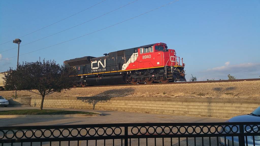 Culvers | restaurant | 2302 S Neil St, Champaign, IL 61820, USA | 2173521699 OR +1 217-352-1699