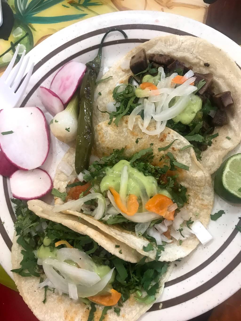 Tacos El Nevado | restaurant | 4640 South Blvd, Charlotte, NC 28209, USA | 7045294477 OR +1 704-529-4477