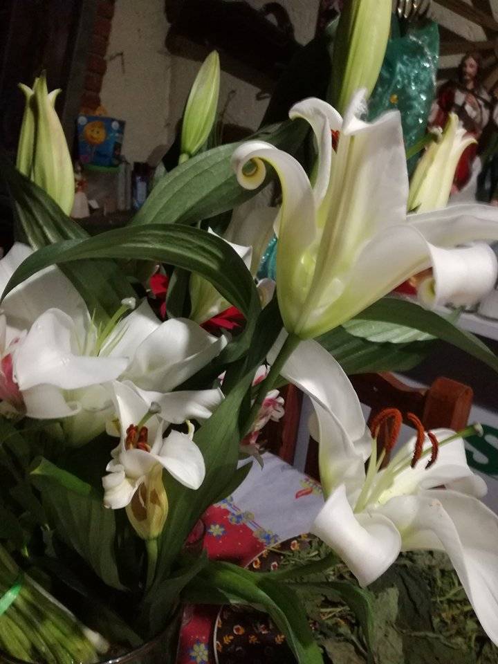 A MI Hacienda | restaurant | 1680 Hamner Ave, Norco, CA 92860, USA | 9512799322 OR +1 951-279-9322