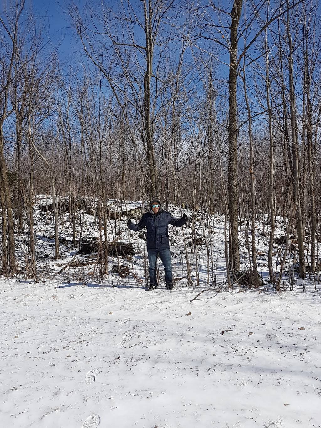 La Grillade | restaurant | 106 Rue des Érables, Saint-Alphonse-de-Granby, QC J0E 2A0, Canada | 4503755959 OR +1 450-375-5959