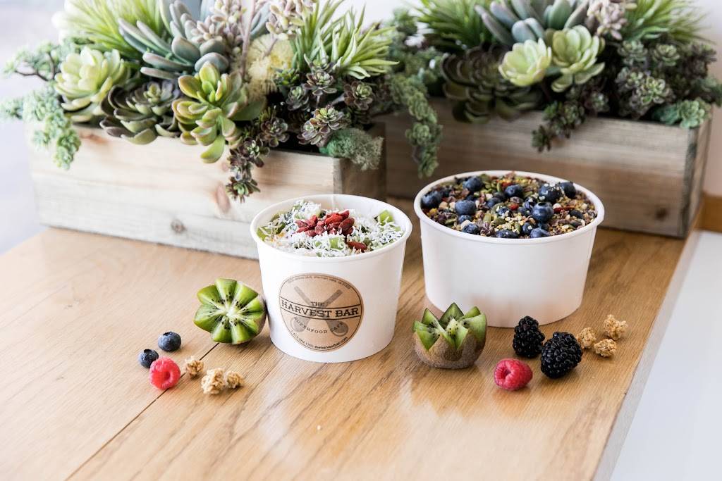 Harvest Bar Playa | restaurant | 8601 Lincoln Blvd, Los Angeles, CA 90045, USA | 4243319006 OR +1 424-331-9006