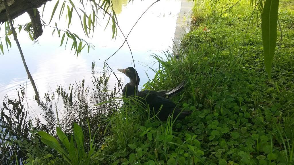 Lunch Us LLC | restaurant | 4208 Chesapeake N, Birmingham, AL 35242, USA | 2056630026 OR +1 205-663-0026