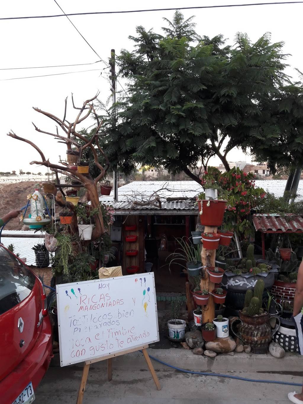 La Cabañita Las Gonzalez | restaurant | San Angel, 22524 Tijuana, B.C., Mexico | 016645253440 OR +52 664 525 3440