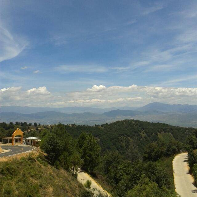 BP | restaurant | 31667 US-12, Round Lake, IL 60073, USA | 8153637732 OR +1 815-363-7732