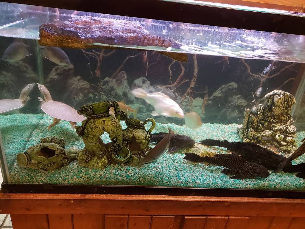 Casita Linda Mexican Restaurant | restaurant | 5315 Hondo Pass Dr, El Paso, TX 79924, USA | 9157579025 OR +1 915-757-9025