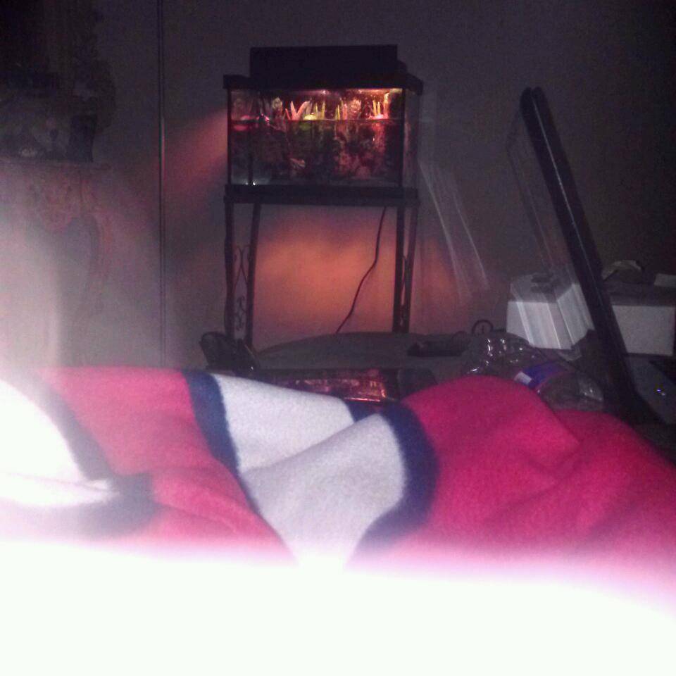 Subway Restaurants | restaurant | 12935 Wisteria Dr, Germantown, MD 20874, USA | 3015401180 OR +1 301-540-1180