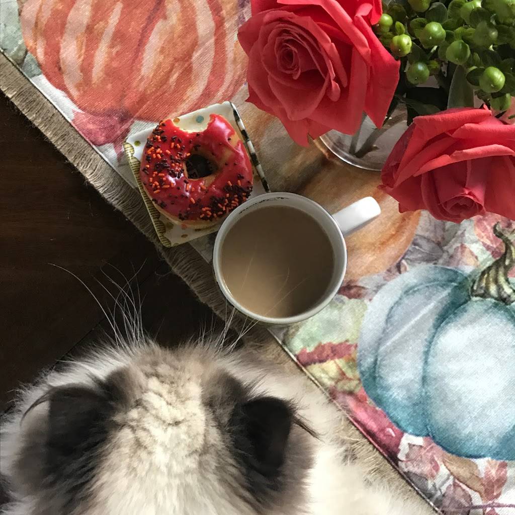 Dunkin | bakery | 2480 WI-138 Suite A, Stoughton, WI 53589, USA | 6082082003 OR +1 608-208-2003