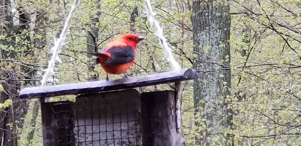 Cuyuna Rolling Hills | restaurant | Deerwood, MN 56444, USA | 2185343489 OR +1 218-534-3489