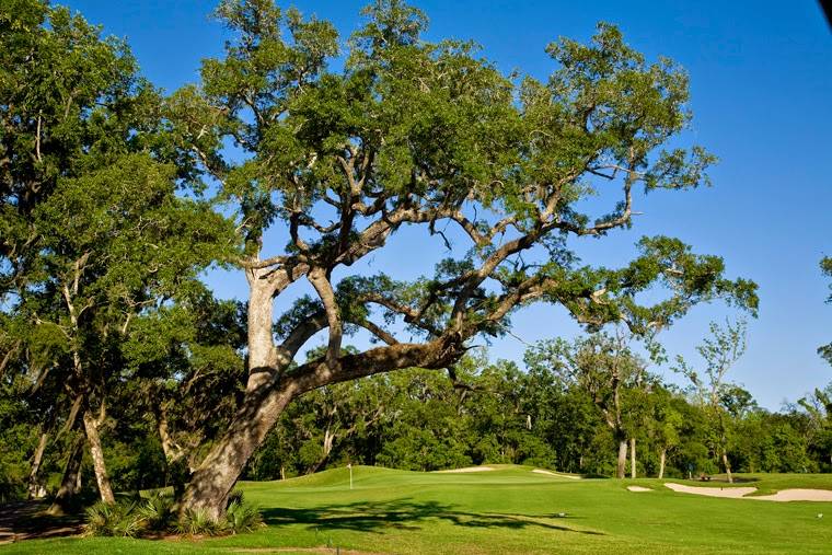 Wilderness Golf Course | restaurant | 501 TX-332, Lake Jackson, TX 77566, USA | 9792974653 OR +1 979-297-4653