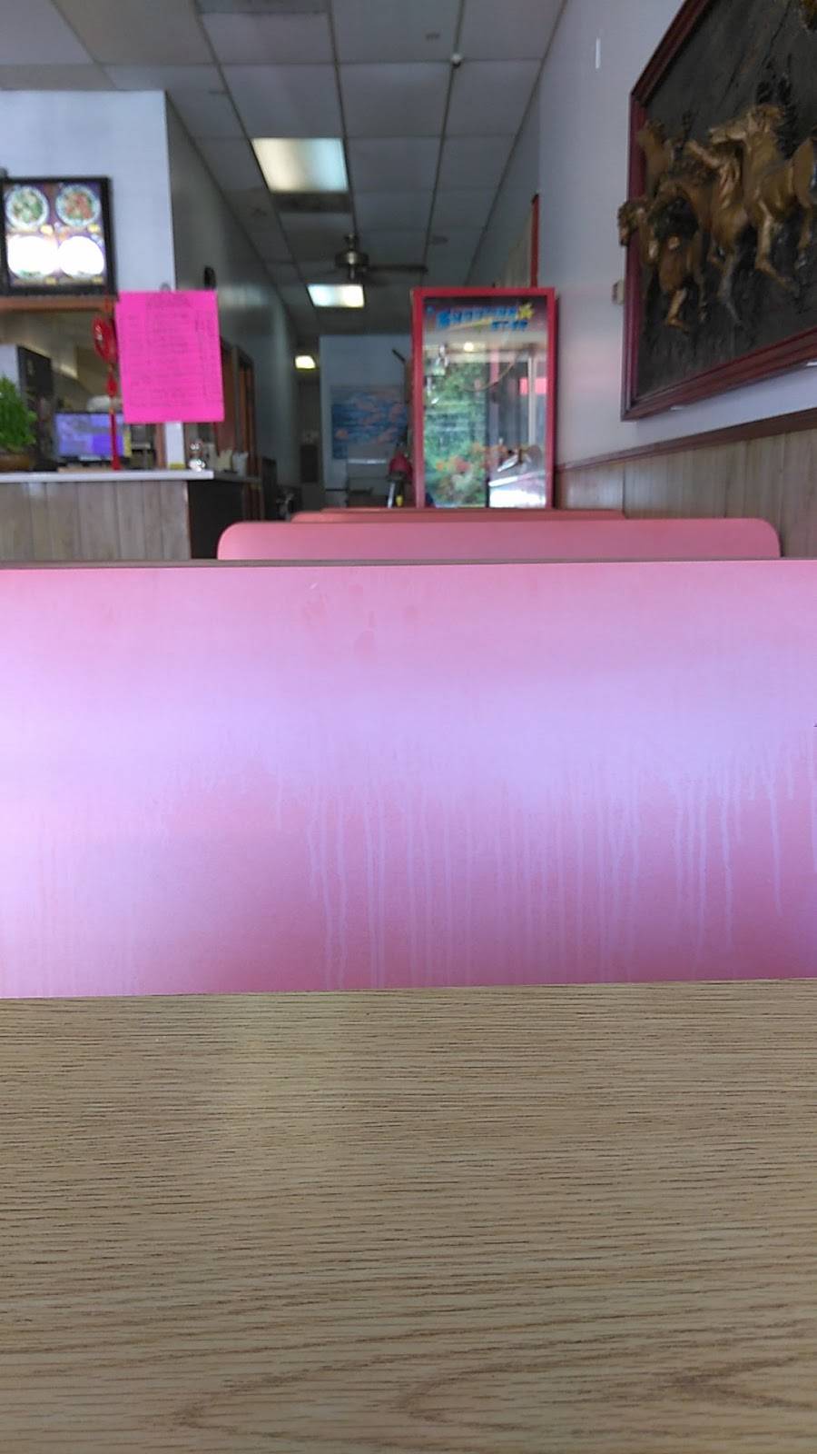 Yum Yum Express Chinese Restaurant | restaurant | 6877 Dorchester Rd # 1, Charleston, SC 29418, USA | 8437671828 OR +1 843-767-1828